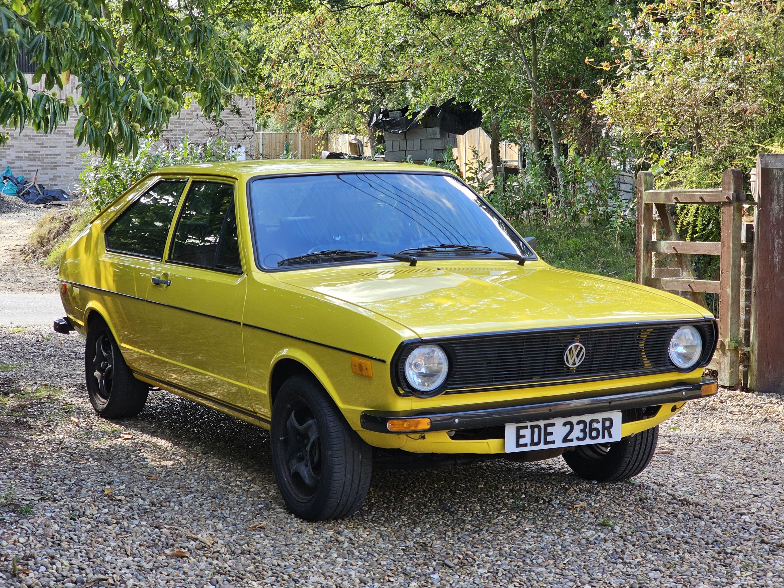 1977 Volkswagen Passat/Dasher B1