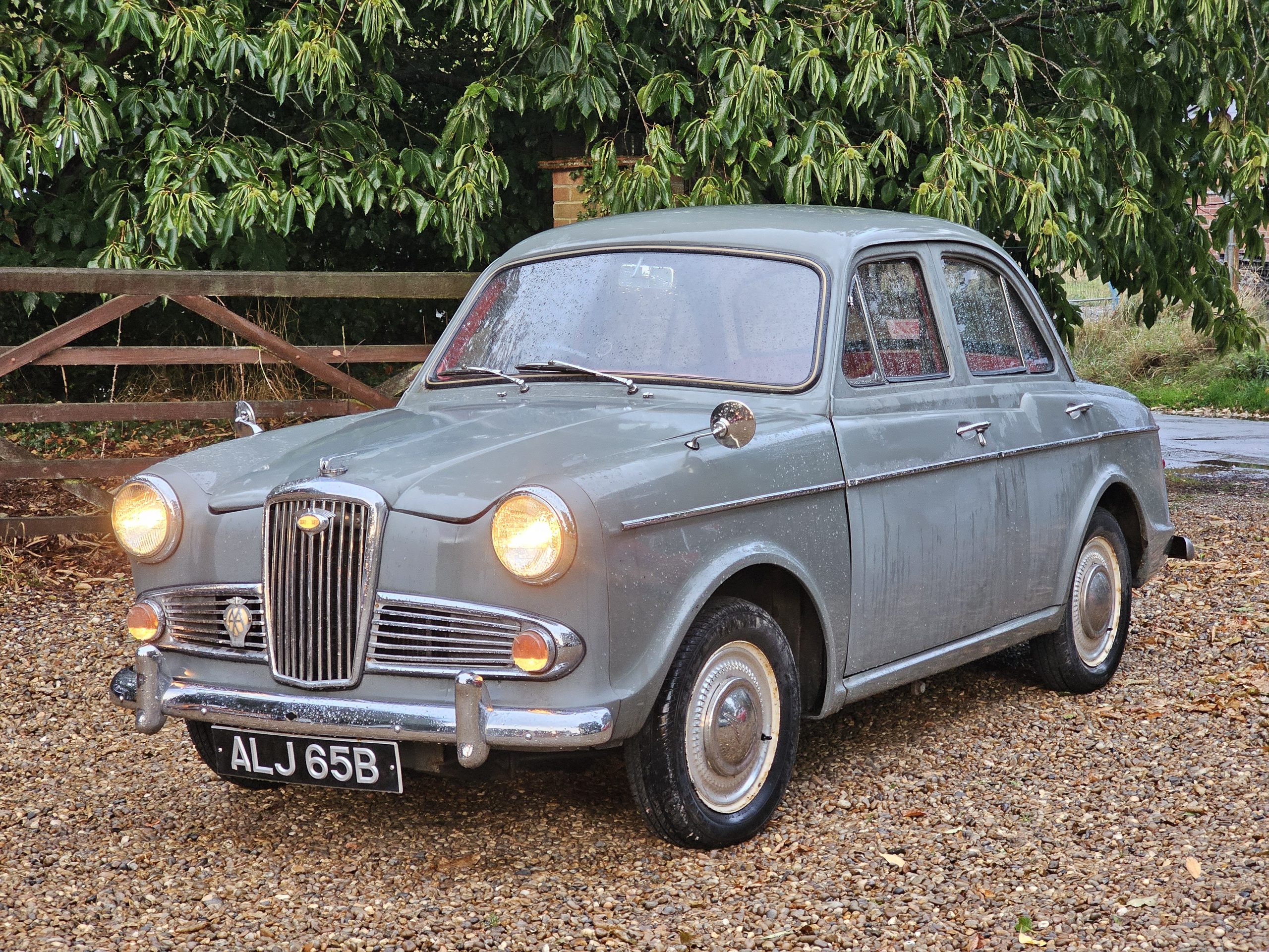1964 Wolseley 1500 - Solid, Useable Classic (ALJ 65B)
